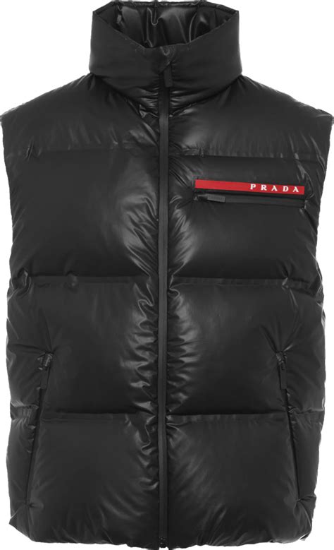 prada vest puffer